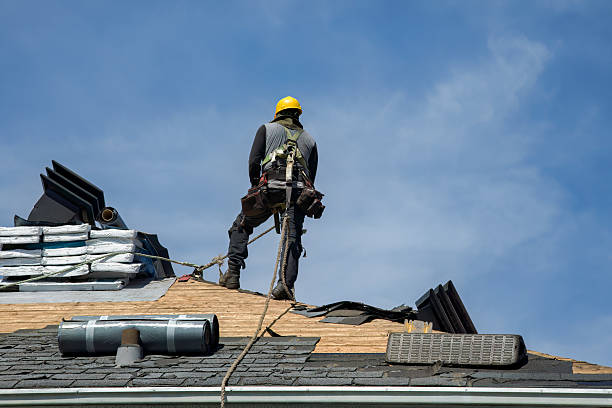 Professional Roof Replacement technician working in Tamaqua, PA